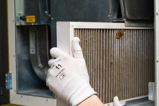 Best Air Duct Cleaning Near Me  in Mount Morris, IL