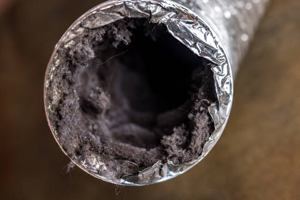 Best Ventilation Cleaning Services  in Mount Morris, IL