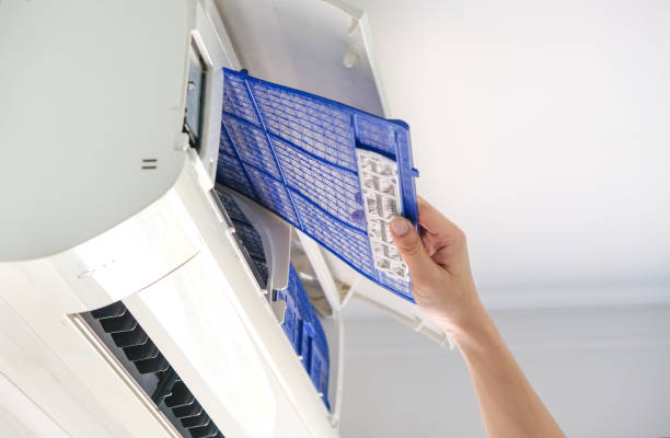 Best Air Duct Sanitizing Services  in Mount Morris, IL
